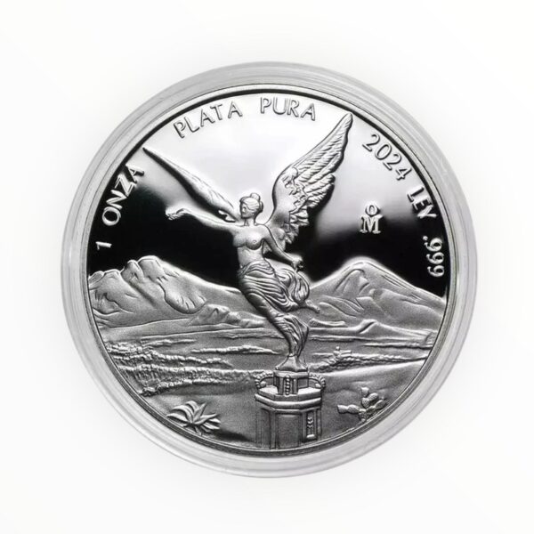 1 oz Mexican Libertad Silver Coin