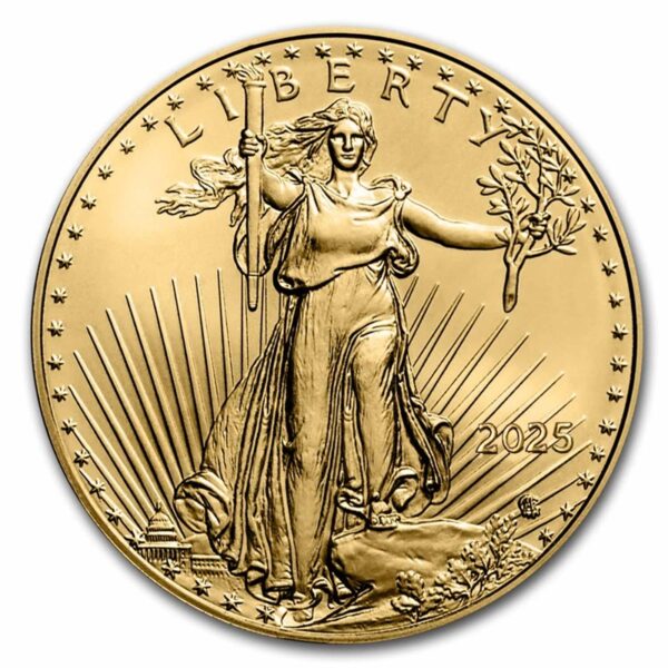 1 oz American Gold Eagle